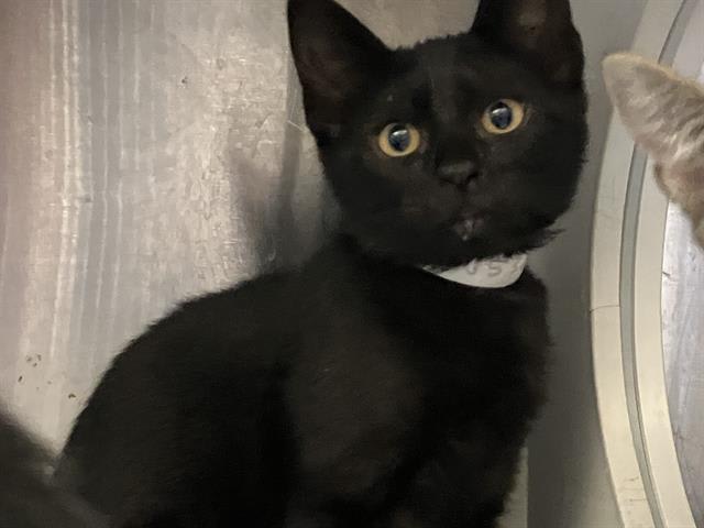 Photo of CASH
