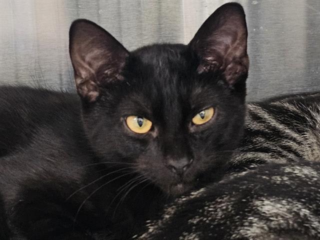 Photo of CASH