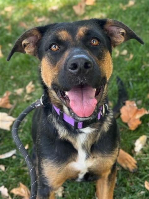 Photo of NOVA