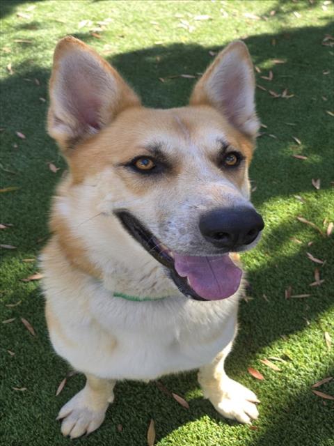 Photo of SHILO