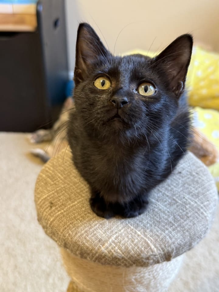 Photo of Penelope
