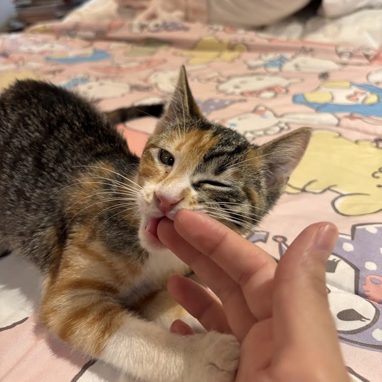 Photo of Michi