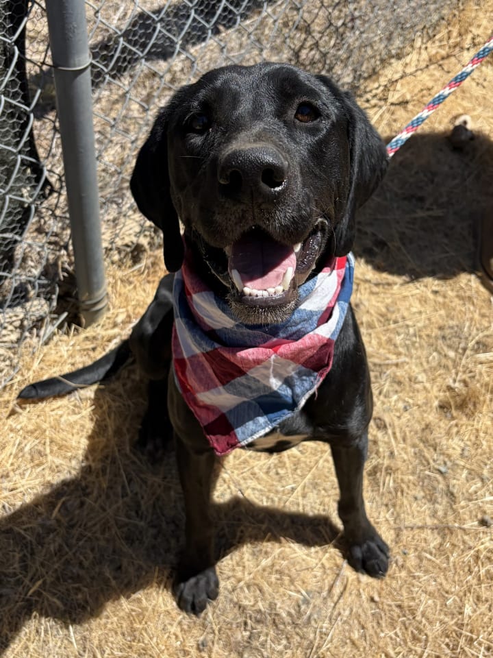 Photo of Chase