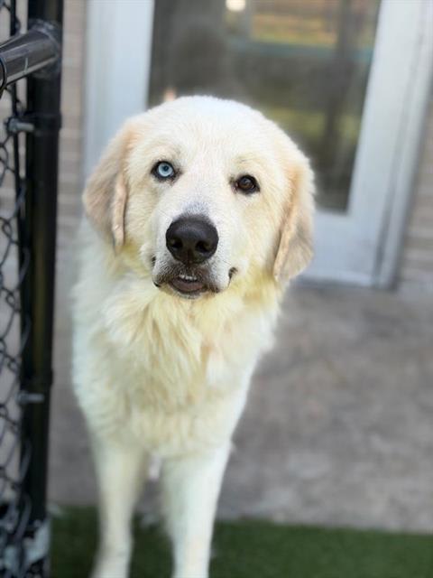 Photo of JACOB