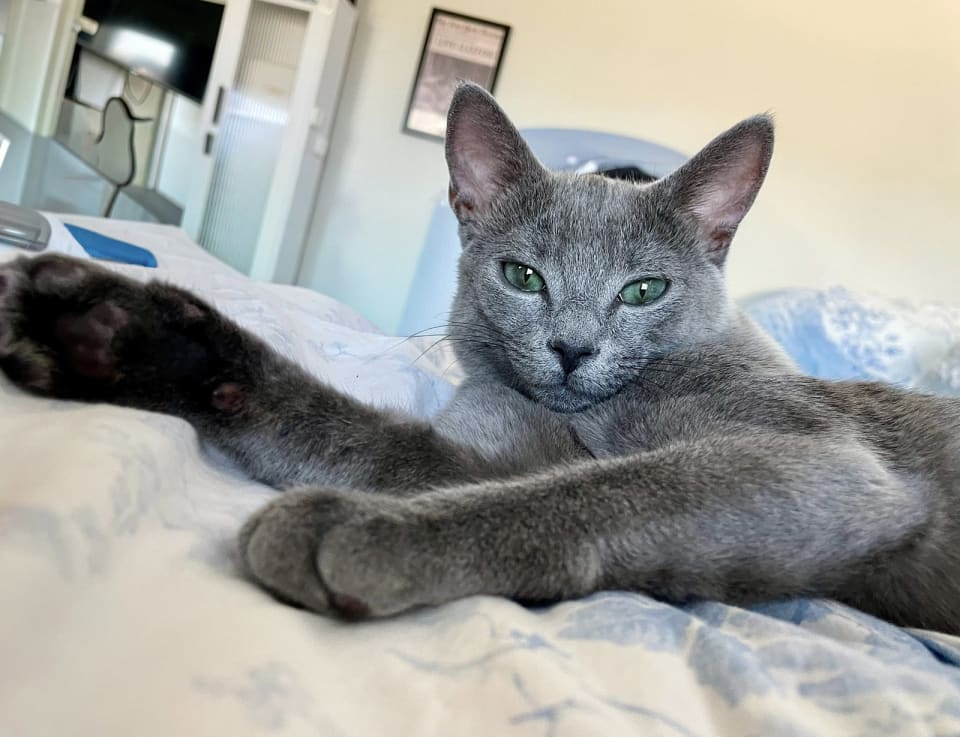 Photo of Don Julio