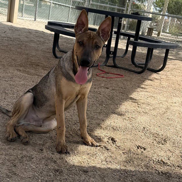 Photo of JUNIOR