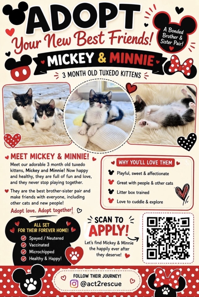 Photo of Minnie 3 (Bonded with Mickey 3)