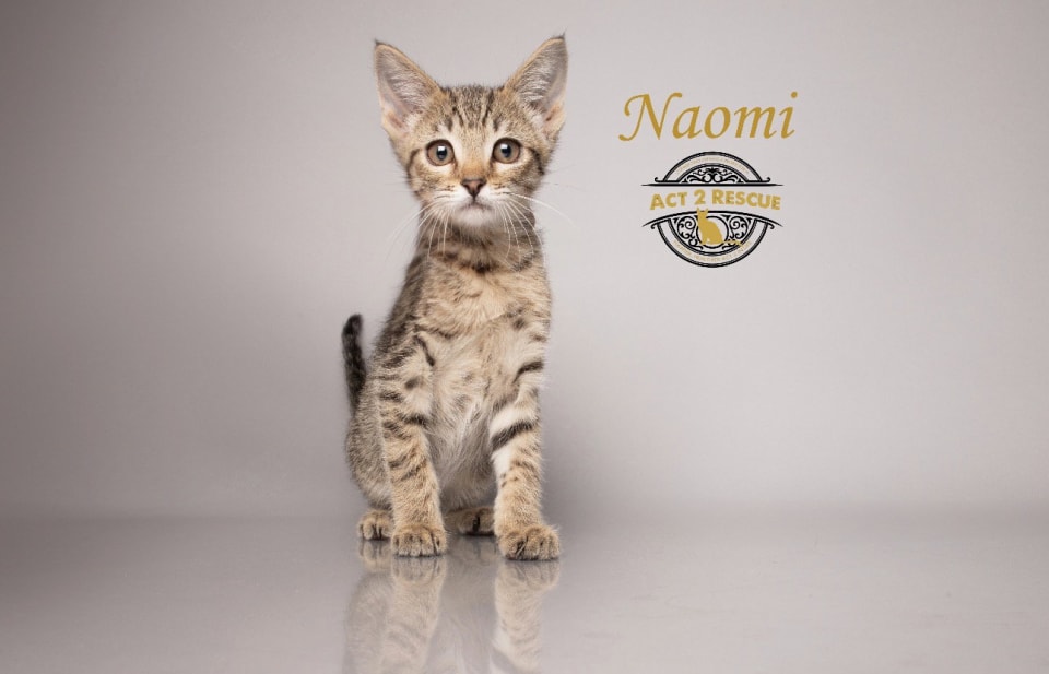 Photo of Naomi