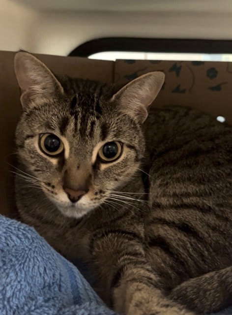 Photo of ENID
