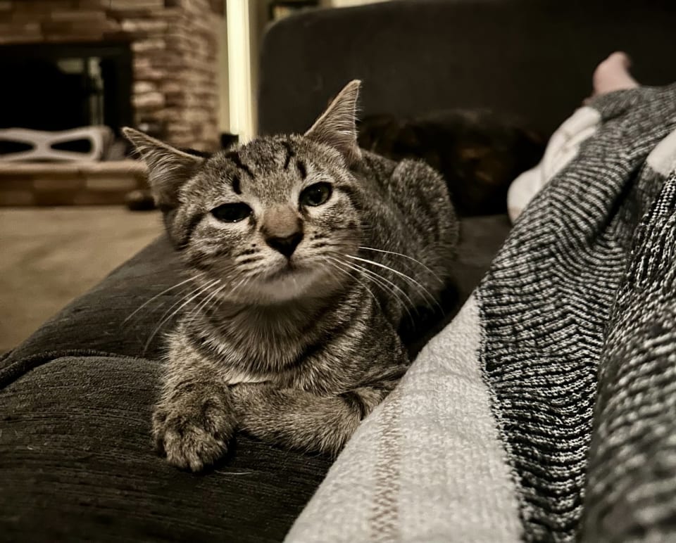 Photo of Apollo 3