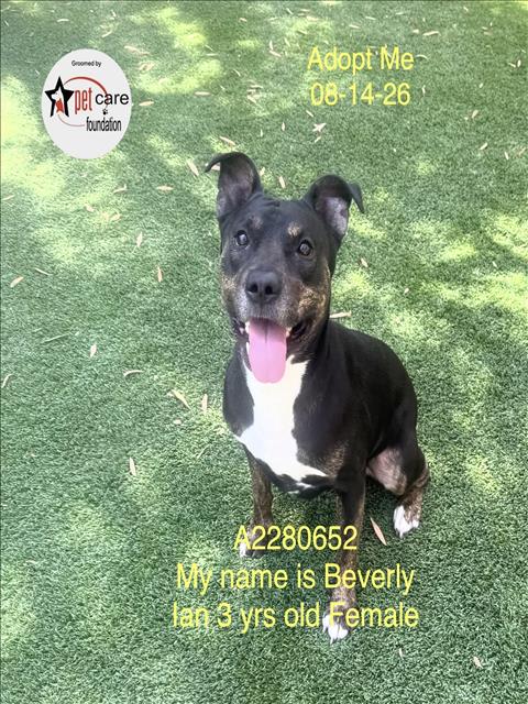 Photo of BEVERLY