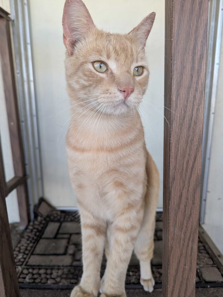 Photo of Buddy 2