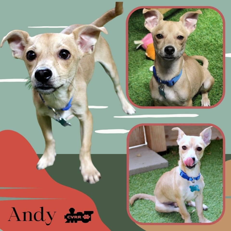 Photo of Andy