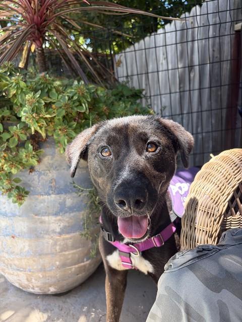Photo of LUNA