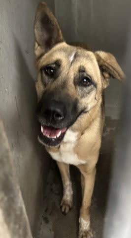 Photo of LUCY