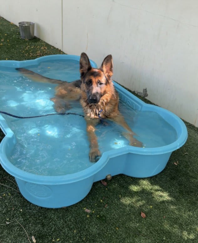 Photo of MISTY