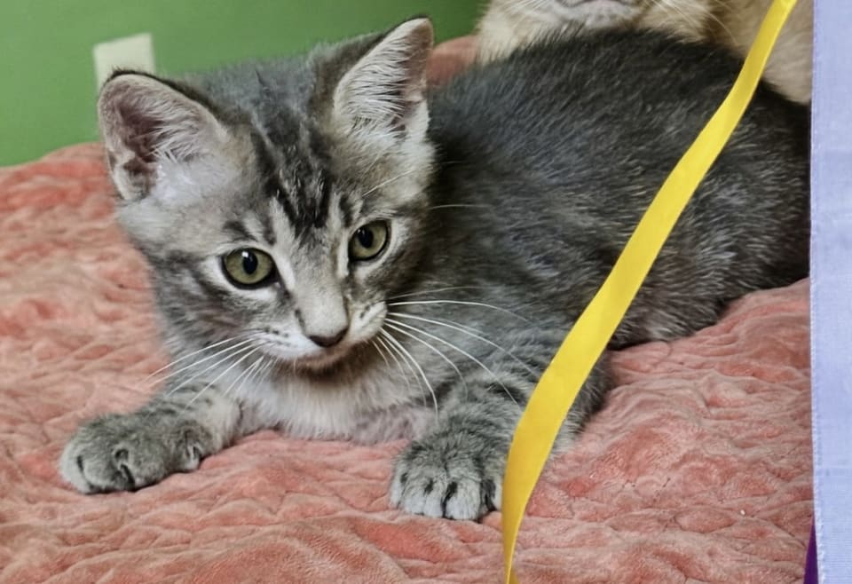 Photo of Leela May