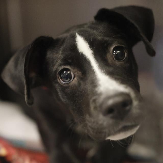 Photo of TOOTSIE