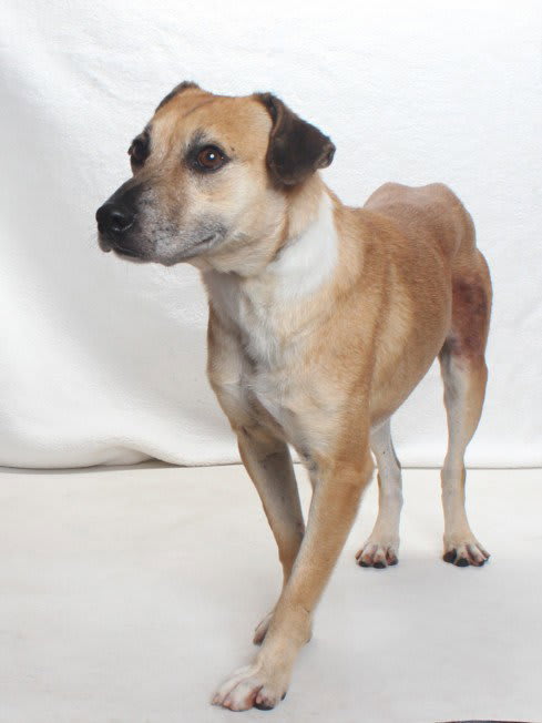Photo of SHELDON