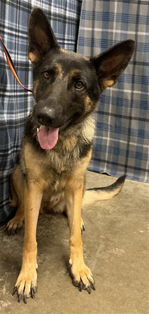 Photo of HEIDI