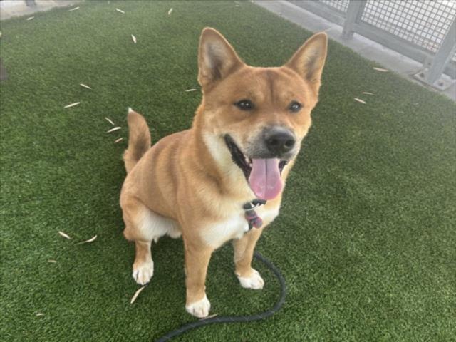 Photo of KUMA