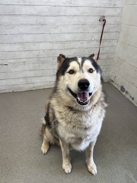 Photo of DAKOTA