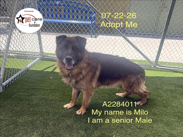 Photo of MILO