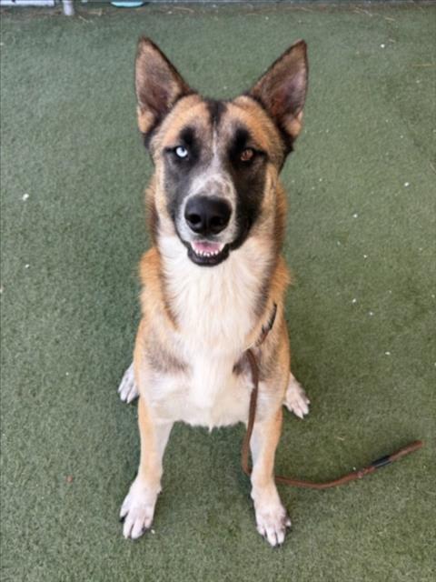 Photo of BUELLER