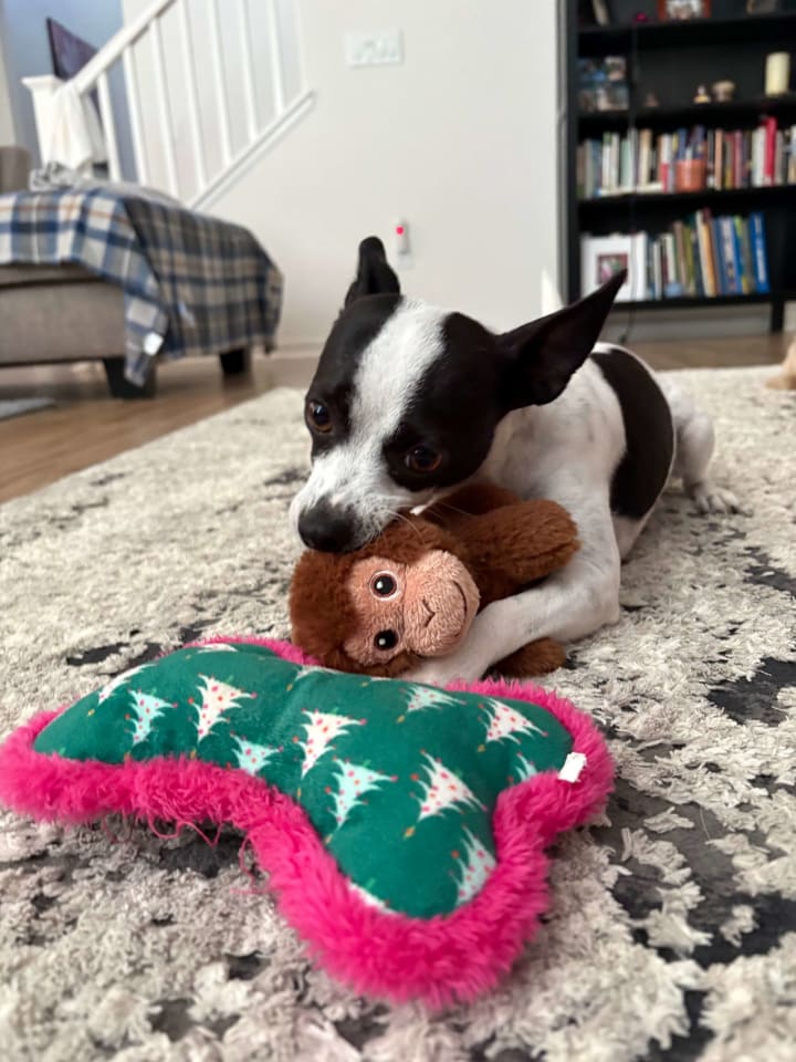 Photo of Audrey