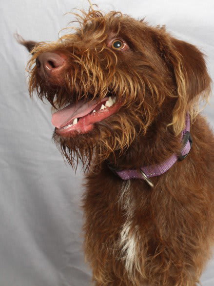 Photo of SKY CANELA