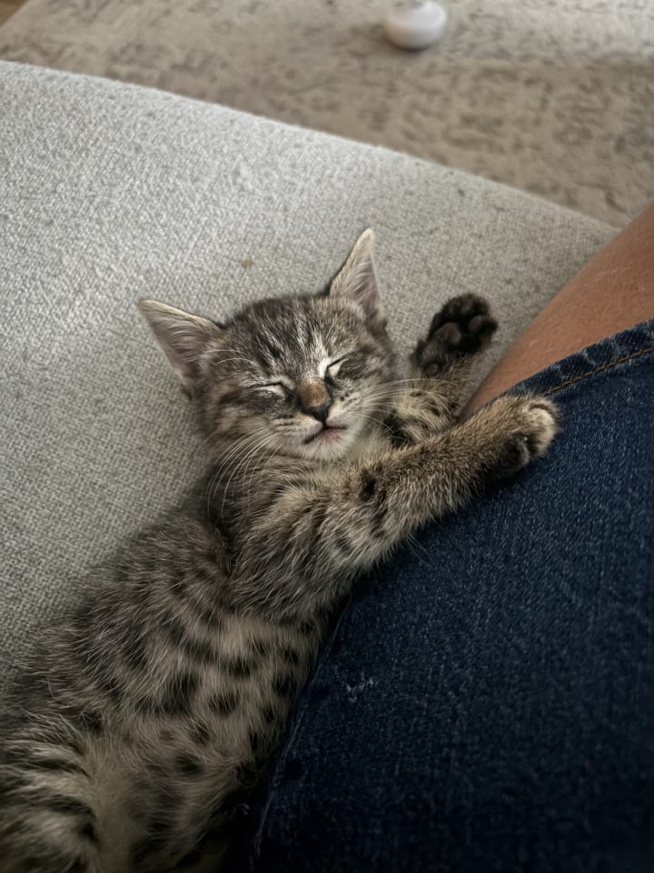 Photo of Lady Benny