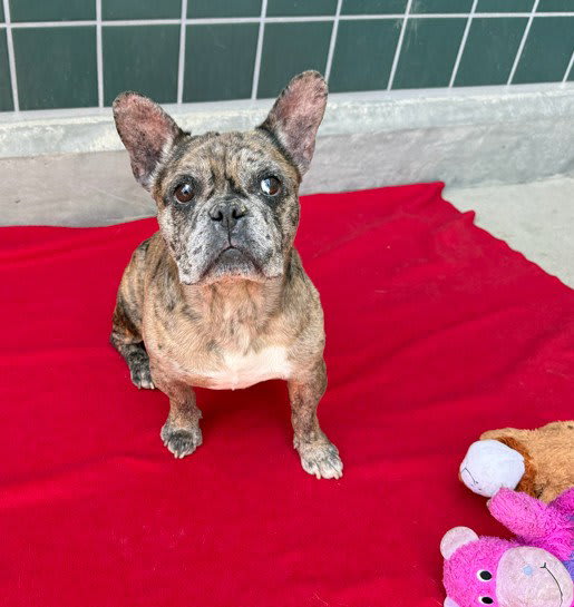 Photo of WONTON