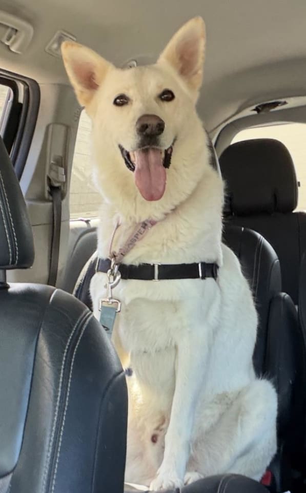 Photo of CASPER