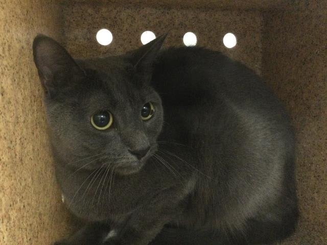 Photo of CINDER