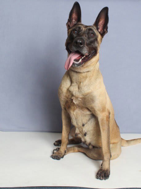 Photo of DIOR