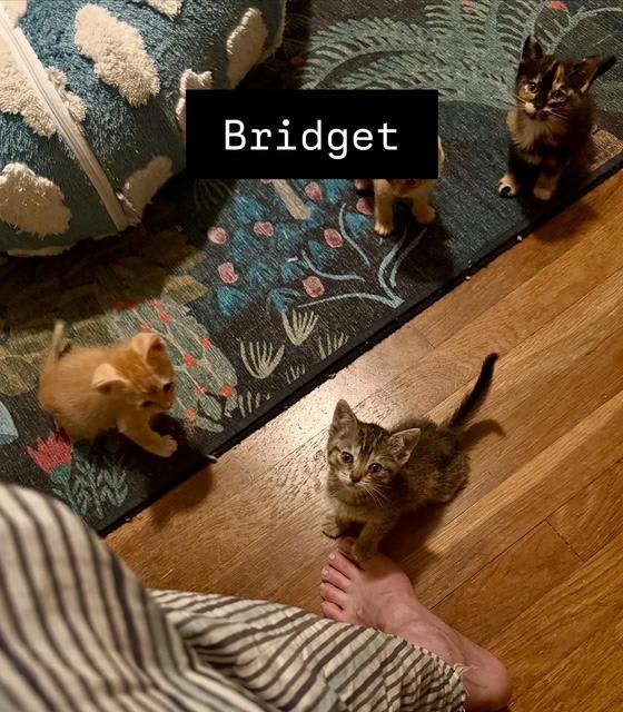 Photo of Bridget