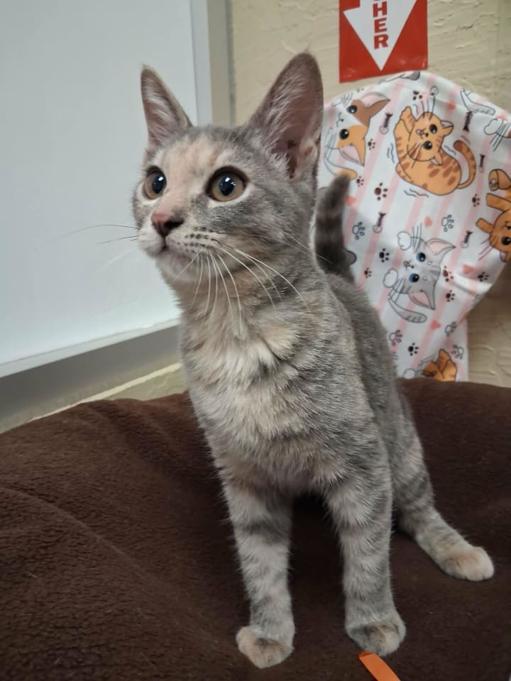 Photo of Hazel