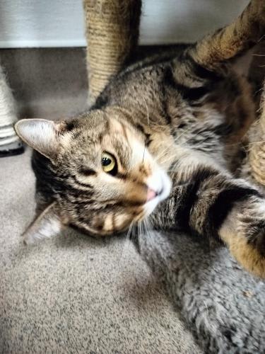 Photo of Skittles
