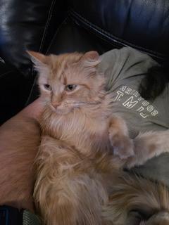 Photo of Spice
