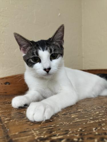 Photo of Tina