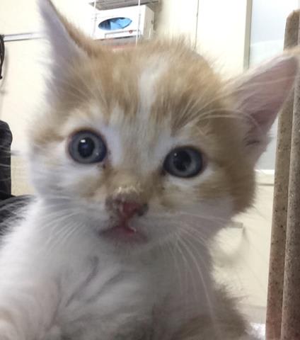 Photo of LUNA