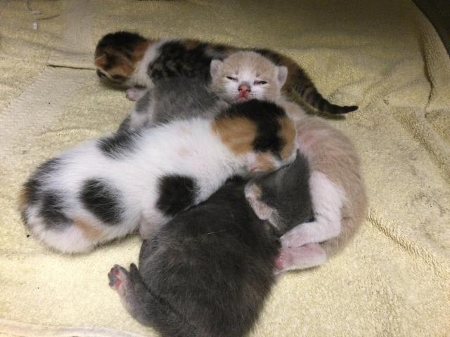 Photo of KEEPING