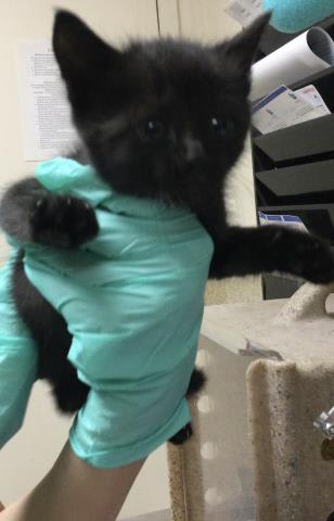Photo of TATER