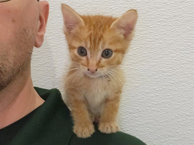 Photo of YODA