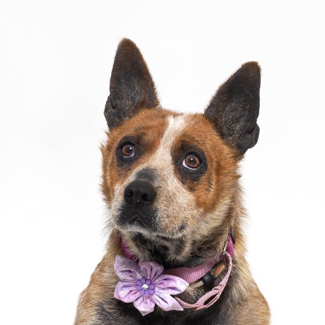 Photo of PENELOPE
