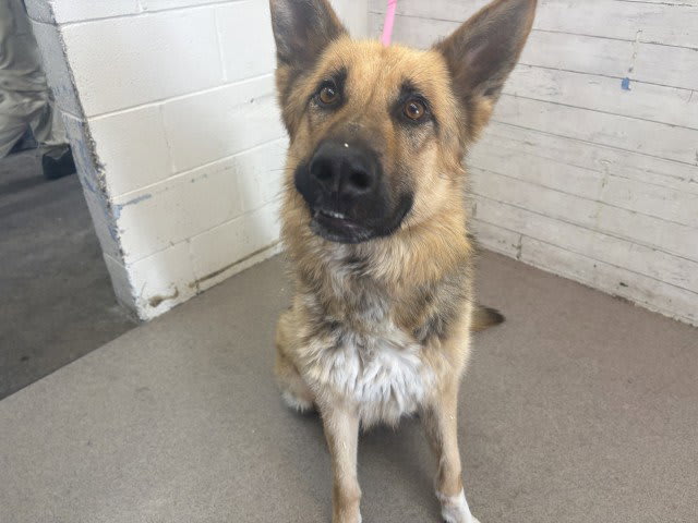 Photo of OLIVER