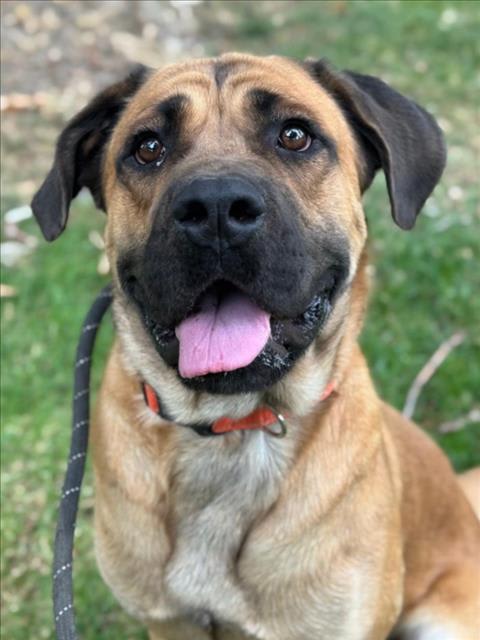 Photo of HERC