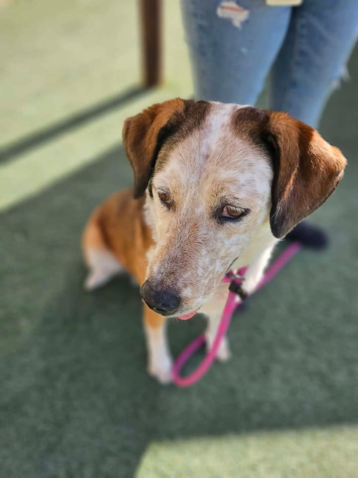 Photo of Maggie