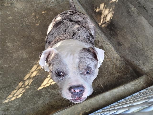 Photo of CHAMP