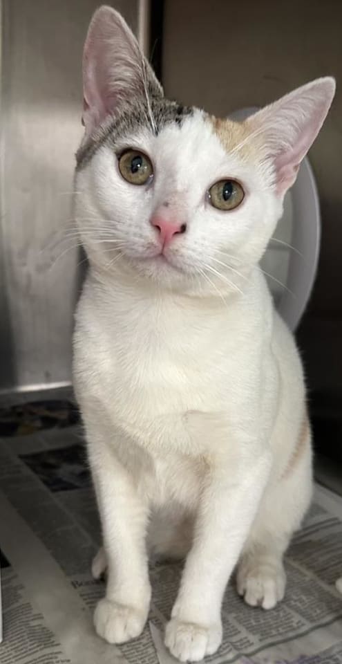 Photo of WOODROW